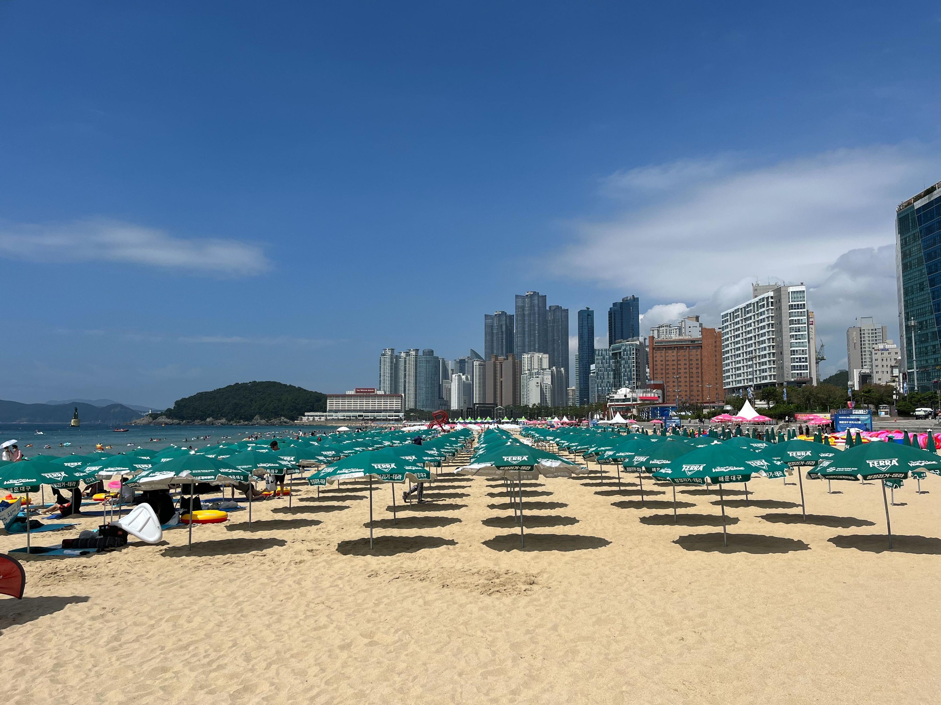 부산 해수욕장 개장 일정 2026 총정리 | 블랙라벨로 떠나는 프리미엄 해변 드라이브