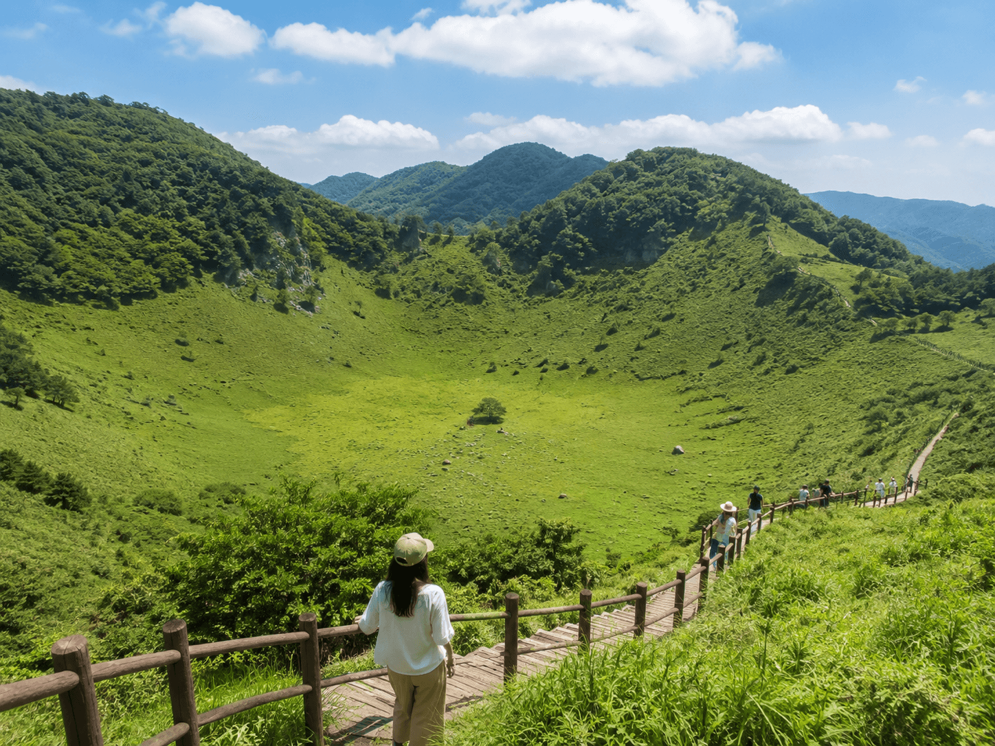 정선 민둥산 돌리네 여름 풍경