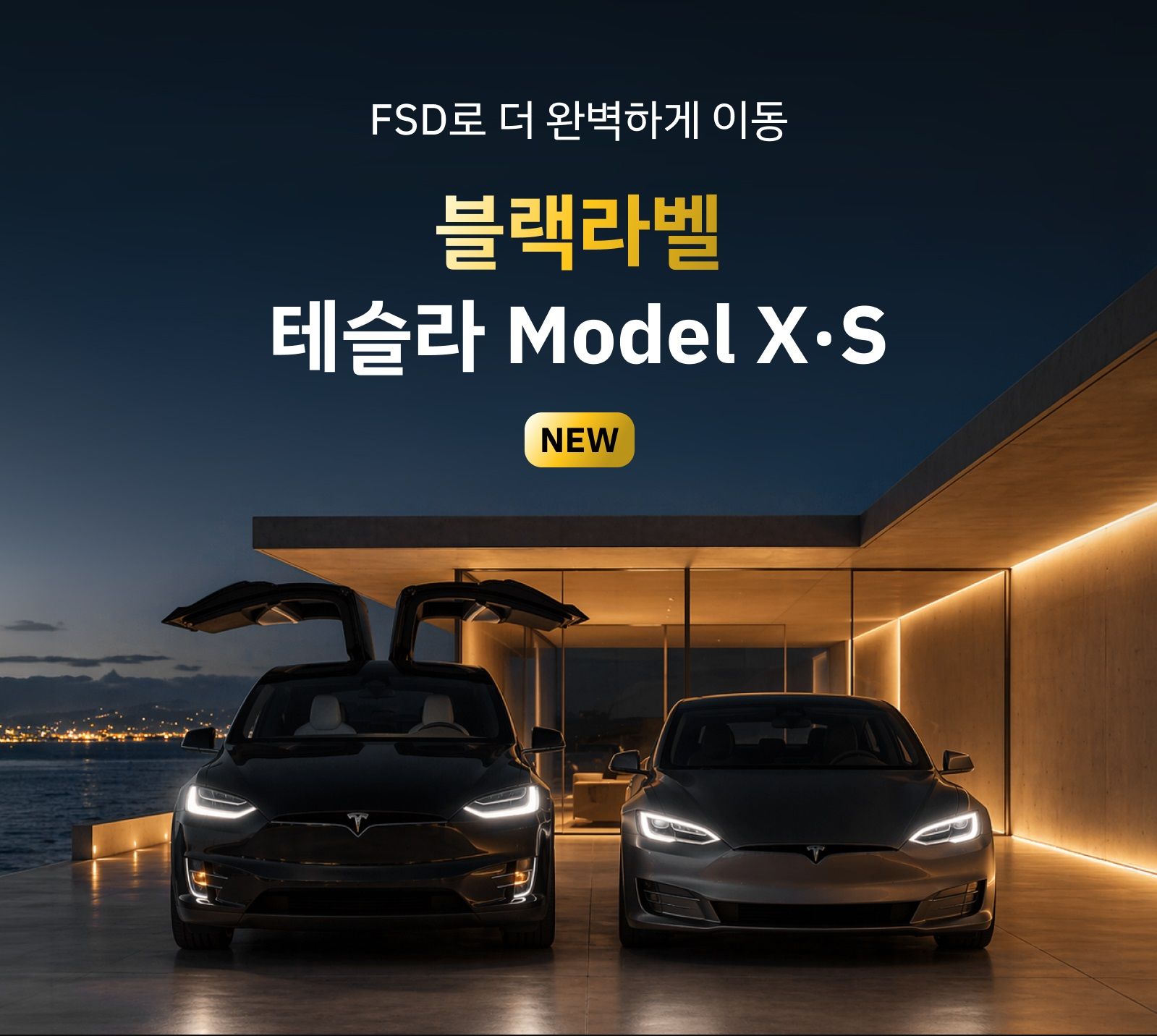 쏘카 블랙라벨 서비스의 테슬라 모델 s, 모델 x