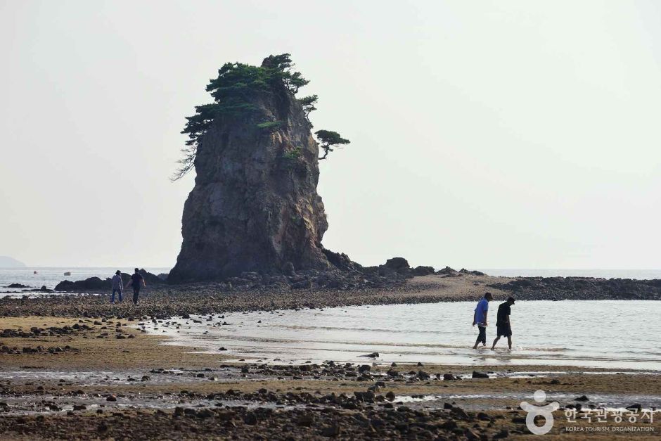 꽃지 해수욕장 해변 이미지