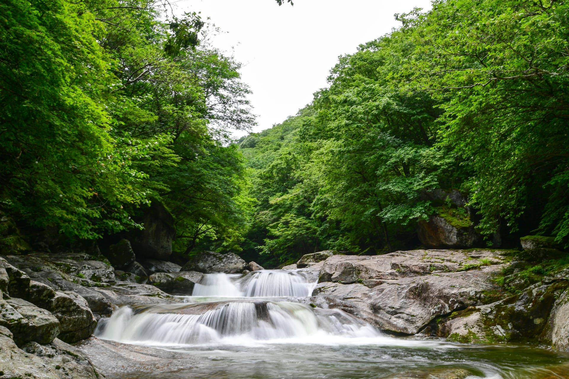 남원 지리산 뱀사골 계곡의 맑은 물과 울창한 초록 숲